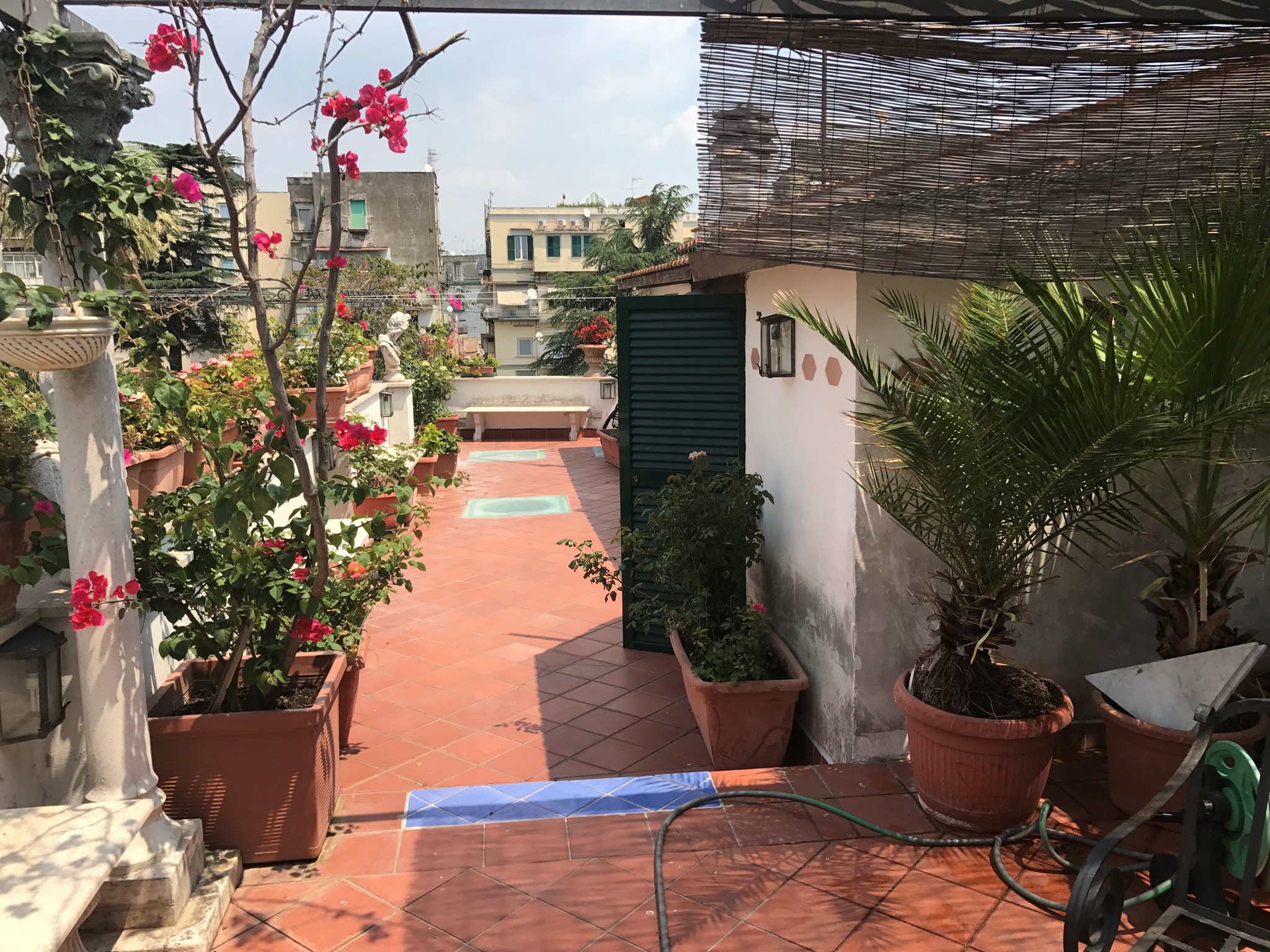 Terrace view